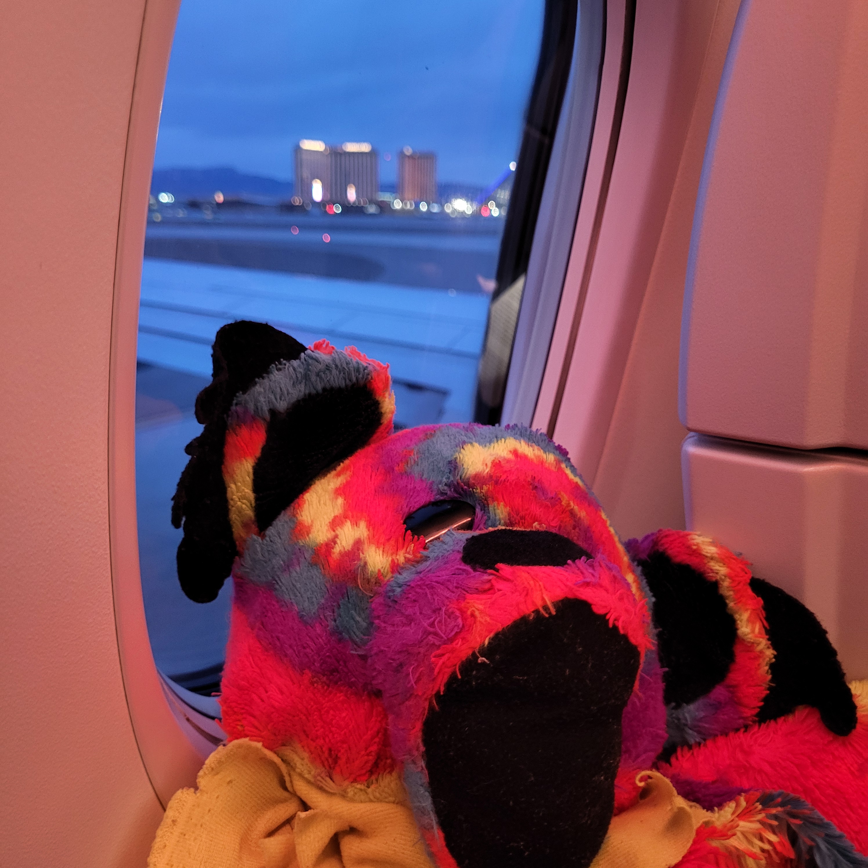 Lisa's Life After 50